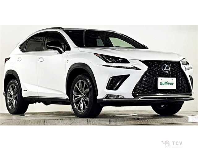 2019 Lexus NX