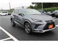 2021 Lexus NX