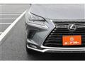 2021 Lexus NX