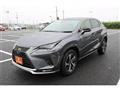 2021 Lexus NX
