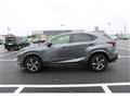 2021 Lexus NX