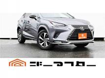2021 Lexus NX