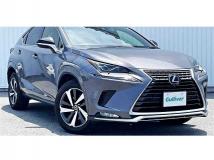 2021 Lexus NX