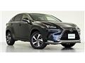2021 Lexus NX