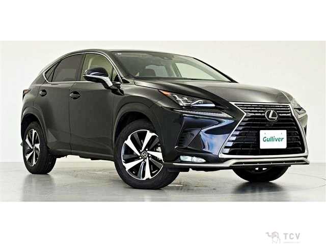 2021 Lexus NX
