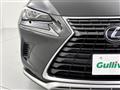 2021 Lexus NX