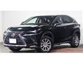 2021 Lexus NX