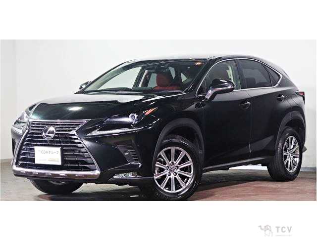 2021 Lexus NX