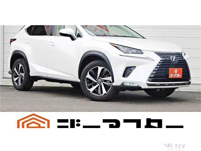 2021 Lexus NX