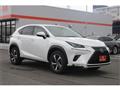 2021 Lexus NX