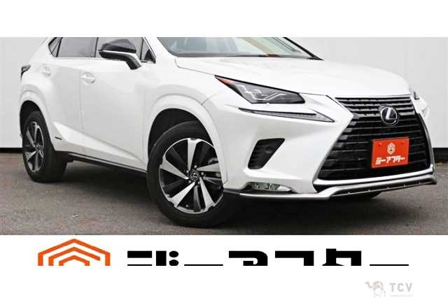 2021 Lexus NX