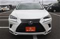 2021 Lexus NX