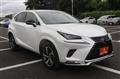 2021 Lexus NX