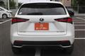 2021 Lexus NX