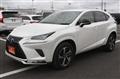 2021 Lexus NX