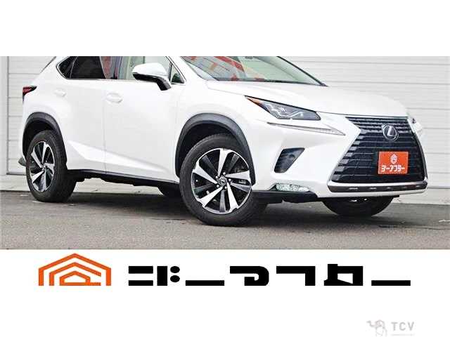 2021 Lexus NX