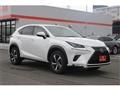 2021 Lexus NX