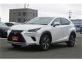 2021 Lexus NX