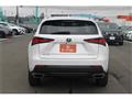 2021 Lexus NX