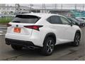 2021 Lexus NX