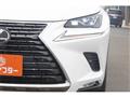 2021 Lexus NX