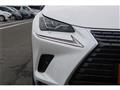 2021 Lexus NX