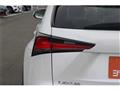 2021 Lexus NX