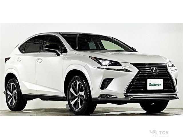 2021 Lexus NX