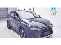2021 Lexus NX