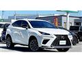 2021 Lexus NX