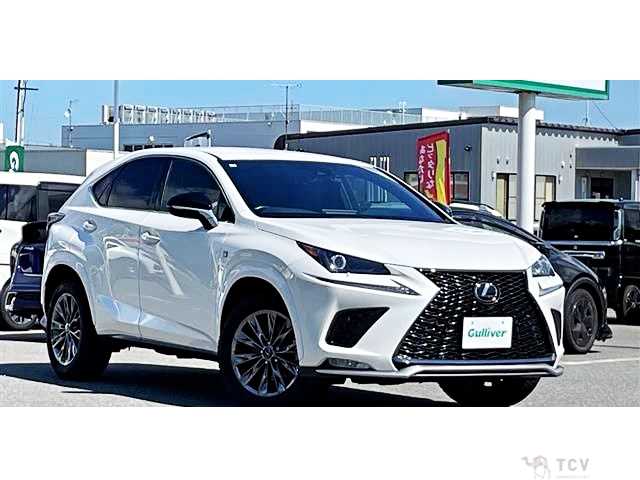 2021 Lexus NX