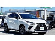 2021 Lexus NX