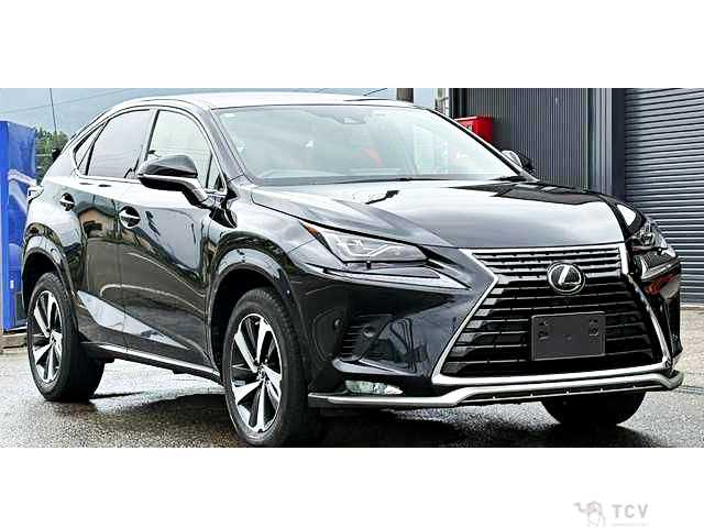 2021 Lexus NX