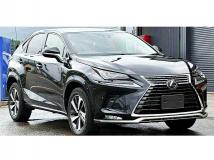 2021 Lexus NX