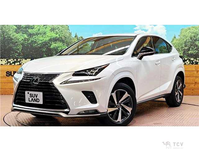 2021 Lexus NX