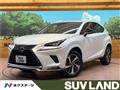 2021 Lexus NX
