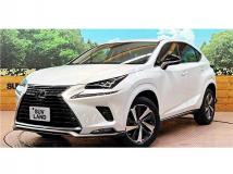 2021 Lexus NX