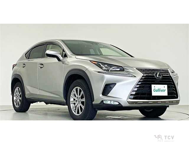 2021 Lexus NX