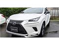 2021 Lexus NX