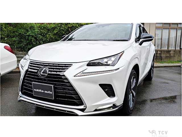 2021 Lexus NX
