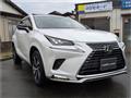 2021 Lexus NX