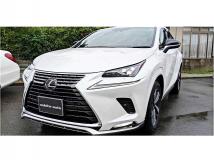 2021 Lexus NX