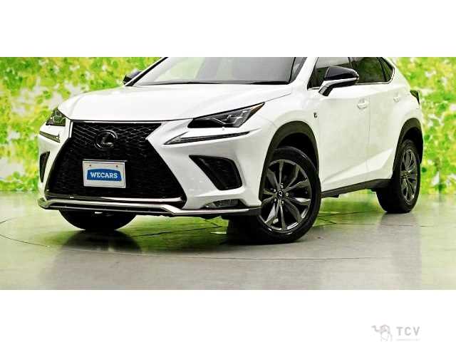 2021 Lexus NX