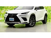 2021 Lexus NX