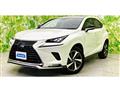 2021 Lexus NX