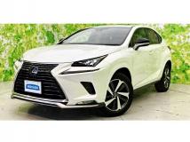 2021 Lexus NX