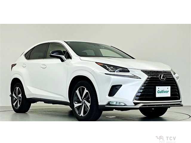 2021 Lexus NX