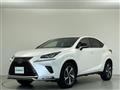 2021 Lexus NX