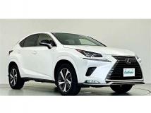 2021 Lexus NX
