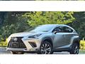 2021 Lexus NX